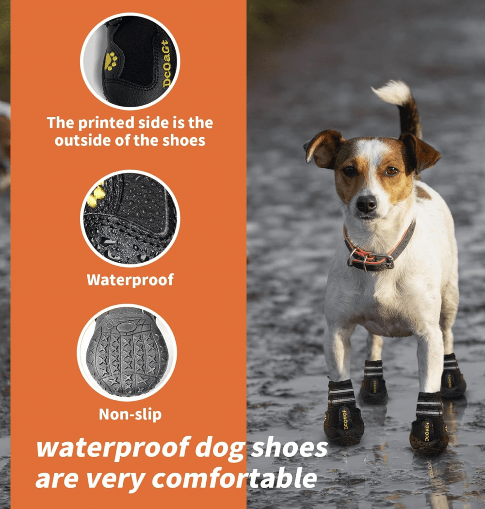 All-Seasons Waterproof Dog Boots & Paw Protectors - Image 7
